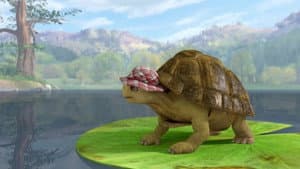 The Tale of the Great Tortoise Rescue