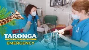 Emergency