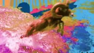 Dan Deacon: U.S.A.