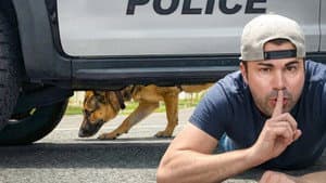 How to Escape a Police Sniffing Dog