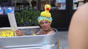 What the Duck Is Going On?