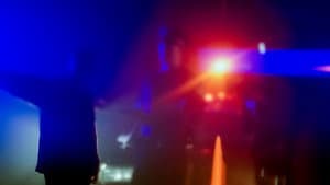 Cops: Bad Boys, Bad Boys