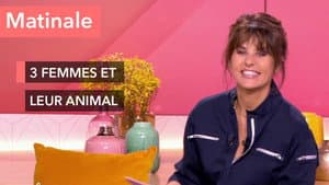 Morning show: Never without my pet!
