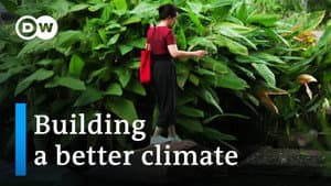 Floods, heavy rain, extreme weather - Why we need to build differently
