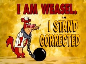 I Stand Corrected