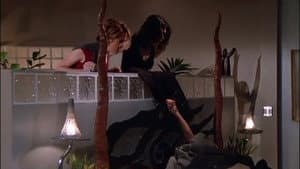 Caroline and the Secret Bullfighter (1)