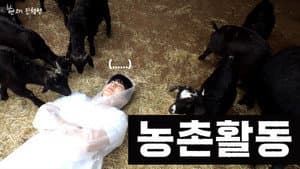LEE JAEHYUN's challenging farm volunteering experience💦