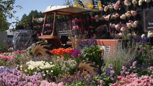 Episode 19 Winter: Designer gardens & strawberry baskets