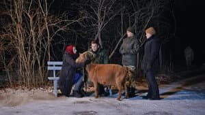 Episode 8