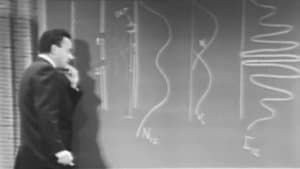 Probability and Uncertainty