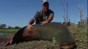 The Lost Reels – Amazonian Giant