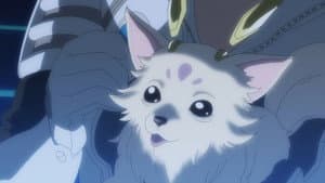 My Cute Puppy / Do Not Disturb