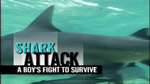 Shark Attack: A Boy's Fight to Survive