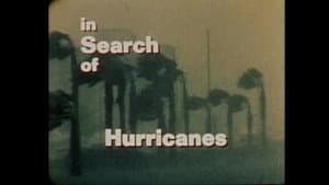Hurricanes