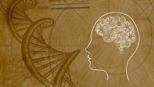 Conscious Evolution