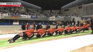 Pulling Together for a Dream
