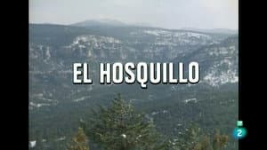 El Hosquillo, Bears