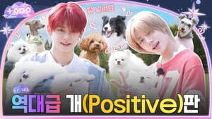 Episode 149 | Teacher & DOG, Part 1