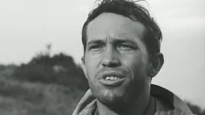 Die by the Gun