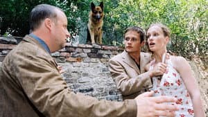 The Attempted Assassination Of Rex