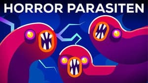 The Most Gruesome Parasites — Neglected Tropical Diseases (NTDs)
