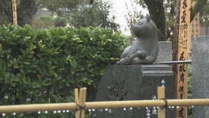At the Pet Cemetery Where Animals Rest in Peace