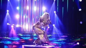 #YFSFBloom