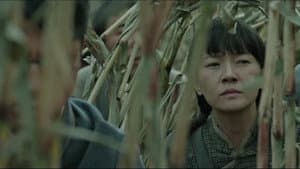 Episode 17
