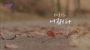 Episode 81