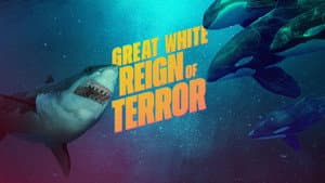 Great White Reign of Terror