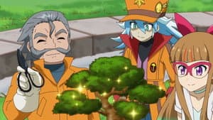 Training Troubles