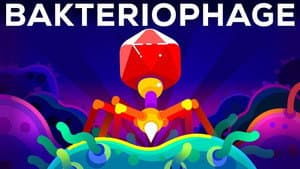The Deadliest Being on Planet Earth — The Bacteriophage