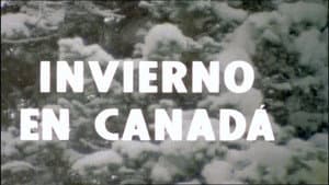 Winter in Canada