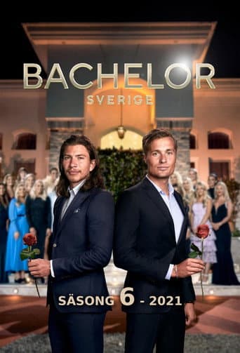 Staffel 6