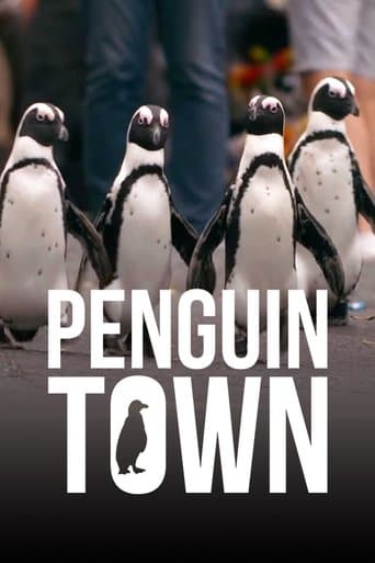 Stadt der Pinguine