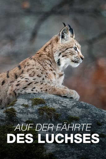 Auf der Fährte des Luchses