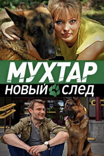 Staffel 12