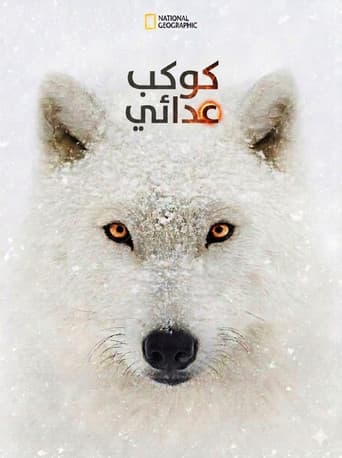 كوكب عدائي