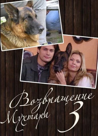 Staffel 3