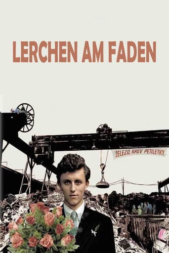 Lerchen am Faden
