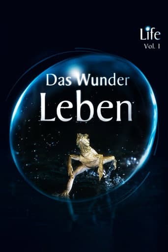 Staffel 1