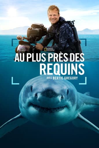 Au plus près des requins avec Bertie Gregory