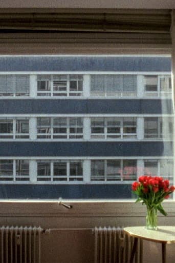 21,3 °C