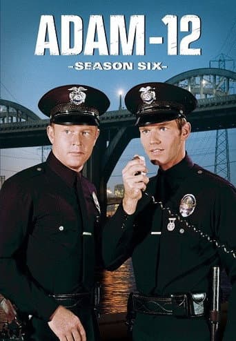 Staffel 6