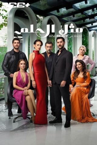 مثل الحلم