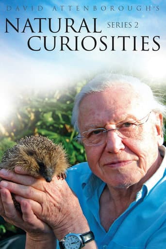Staffel 2