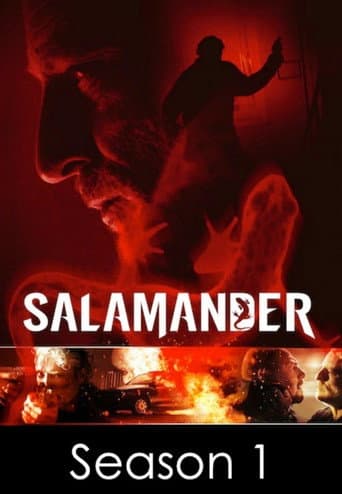 Staffel 1