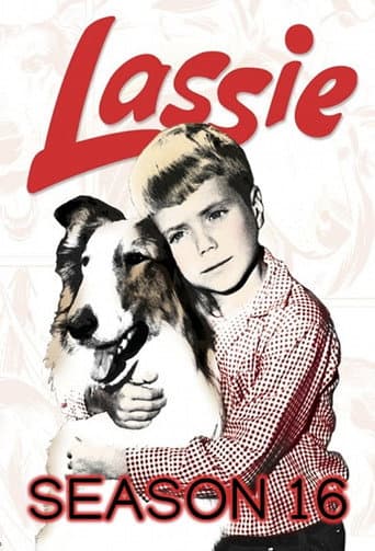 Staffel 16