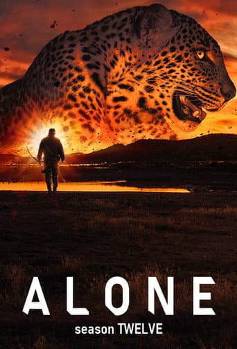 Staffel 12