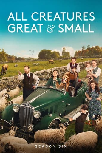 Staffel 6